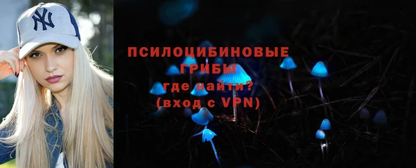 2c-b Инта