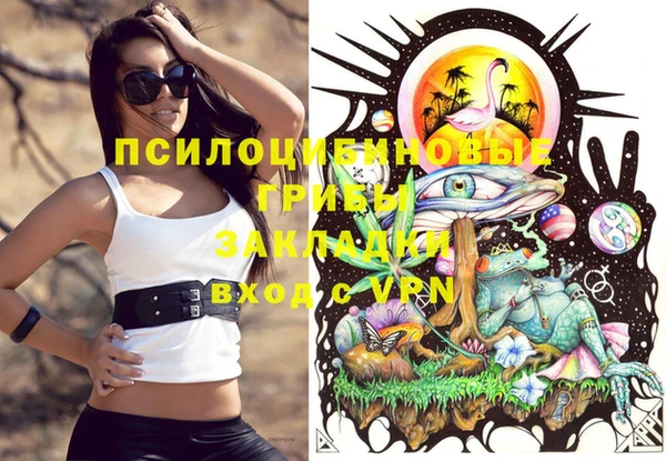 круглые Иннополис