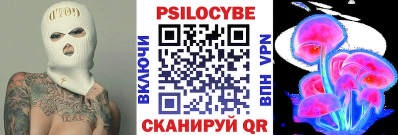 Купить  Заволжск  Галлюциногенные грибы Magic Shrooms 